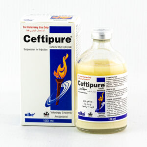 سيفتوبير تركي 100 مل