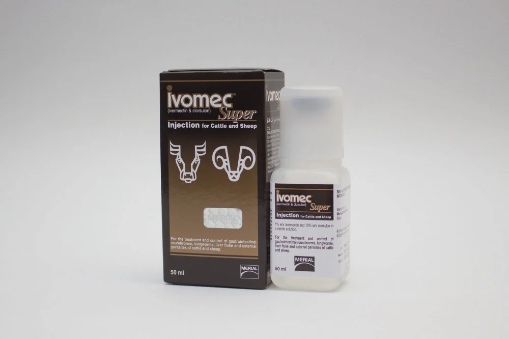 افيميك سوبر امريكي